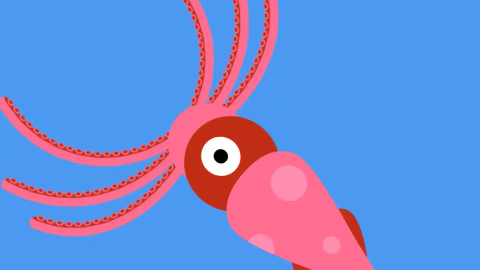 octopus_tentacle.mp4