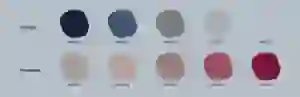 Color Palette