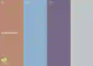 Colors