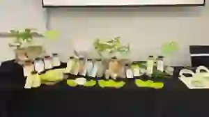Booth Display