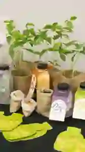 Booth Display