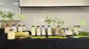 Booth Display