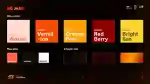 Color Palette