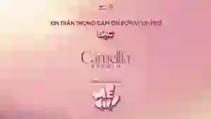 Camellia Studio