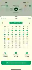 Diary